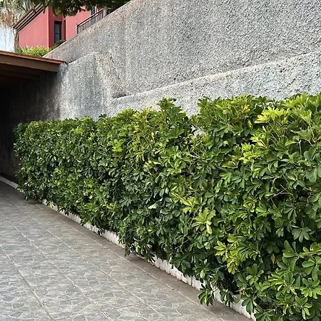 Estupendo En Con Piscina Candelaria